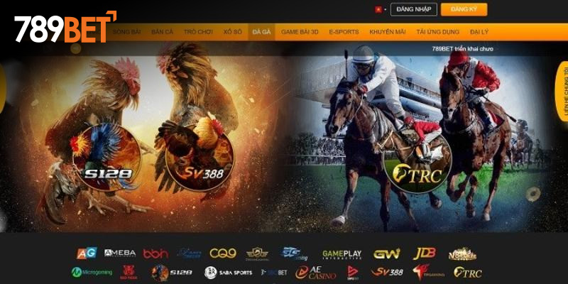 Ưu điểm của đá gà 789bet online